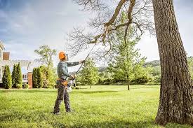 Best Lawn Pest Prevention  in Beckett Ridge, OH